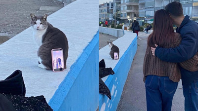 Kediyi tripod yaptılar