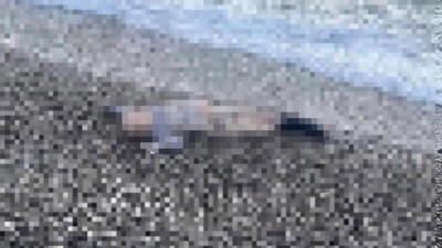 İzmir’de deniz kıyısında çocuk cesedi