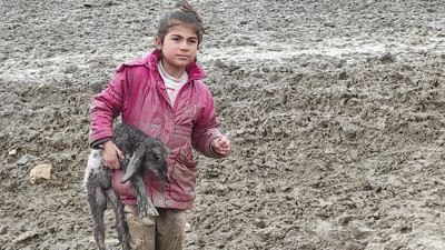 Minik Zeynep'ten yürek ısıtan hareket! Yeni doğan kuzuyu soğuktan böyle korumaya çalıştı