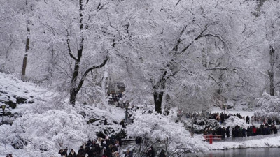 New York’ta soğuk hava nedeniyle 18 kişi hayatını kaybetti