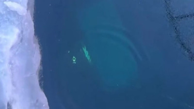 Rusya'da Baykal Gölü'nde tur aracı buzun içine düştü: 8 ölü