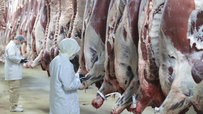 Ankara merkezli 8 ilde 'kırmızı et' operasyonu