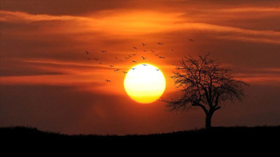 Türkiye'nin iklim haritası 60 yılda değişti: Sıcak kuşak kuzeye kayıyor