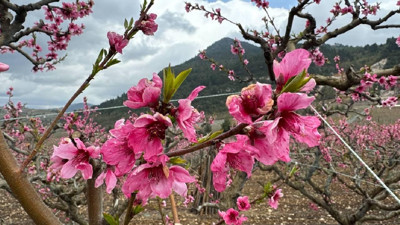 Dünya kayıtlardaki en sıcak dördüncü mart ayını yaşadı