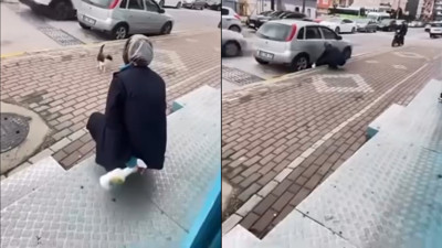 Kocaeli'de kediye yağ çözücü sprey sıkan market çalışanı gözaltına alındı