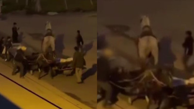 Aralarına aldıkları atlara işkence ettiler! O anlar kamerada