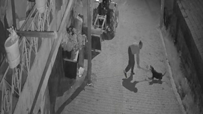 Köpeği demir sopayla öldürdü; o anlar kamerada