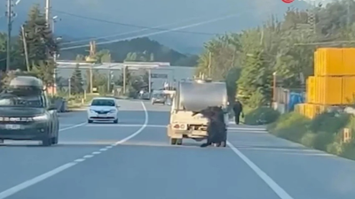 Bolu’da vicdansızlık kamerada! Canlı hayvanı kilometrelerce sürüklediler