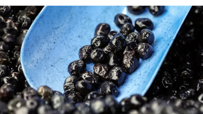 Zeytin değil resmen altın! Bakanlık harekete geçti! Tane zeytini 50 TL’ye satan esnafa ceza