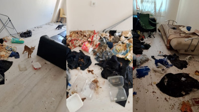 Komşuları taşınmak zorunda bıraktı: Apartmanı saran kokunun altından şoke eden manzara çıktı