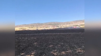 Diyarbakır’da 100 dönüm ekili buğday yandı