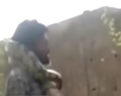 Piton herkesin gözü önünde boğdu! Gösteri zannediyorlardı ama gerçek çok farklı çıktı - Resim: 13