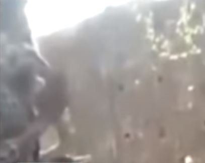 Piton herkesin gözü önünde boğdu! Gösteri zannediyorlardı ama gerçek çok farklı çıktı - Resim: 11
