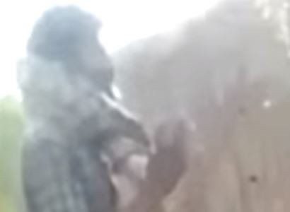 Piton herkesin gözü önünde boğdu! Gösteri zannediyorlardı ama gerçek çok farklı çıktı - Resim: 12