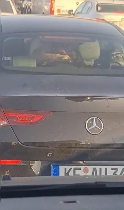 İstanbul'da kabus dolu anlar! Trafikte eşini dakikalarca darp etti - Resim: 6