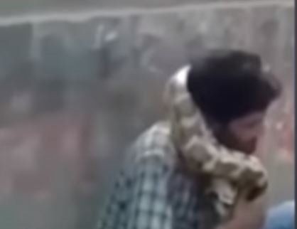 Piton herkesin gözü önünde boğdu! Gösteri zannediyorlardı ama gerçek çok farklı çıktı - Resim: 16