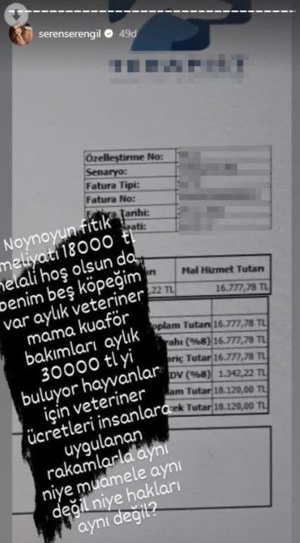 Seren Serengil'in köpeklerinin aylık masrafı ağızları açık bıraktı - Resim: 4