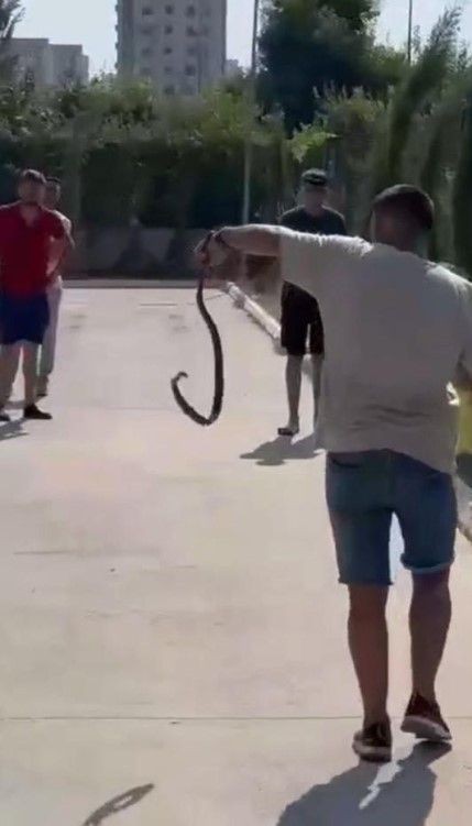 Araç muayenesinde yılan paniği! Eliyle tutup... - Resim: 6