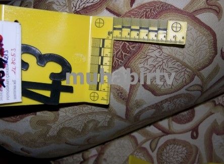 Babası dilekçe vermişti: Cem Garipoğlu'nun mezarı açılacak mı? Münevver Karabulut'un babasından açıklama geldi - Resim: 49