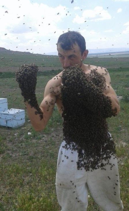 Bir garip hobi! Arıcının yaptıklarının gören şaşıp kalıyor - Resim: 2