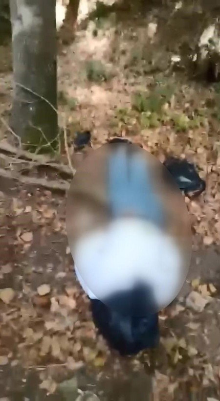 Ormanlık alanda kafasına çöp poşeti geçirilmiş erkek cesedi bulundu - Resim: 5
