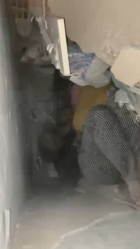 "Korkma, geldik" diyen AFAD ekibine minik Sare'den ağlatan cevap: "Acele etmeyin, bir şeyim yok" - Resim: 4
