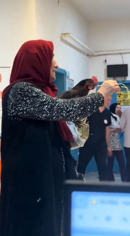 Boğazına iğne kaçan tavuğu için hastanede röntgen talebinde bulundu - Resim: 5