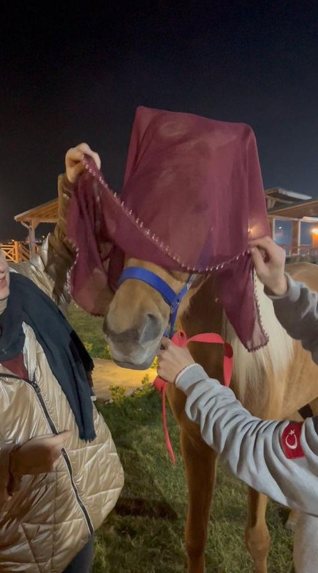 Bu düğünde gelin ve damadı gören şaşıp kalıyor! Önce kına gecesi, sonra davullu zurnalı düğün! Bakın atlara ne taktılar? - Resim: 6