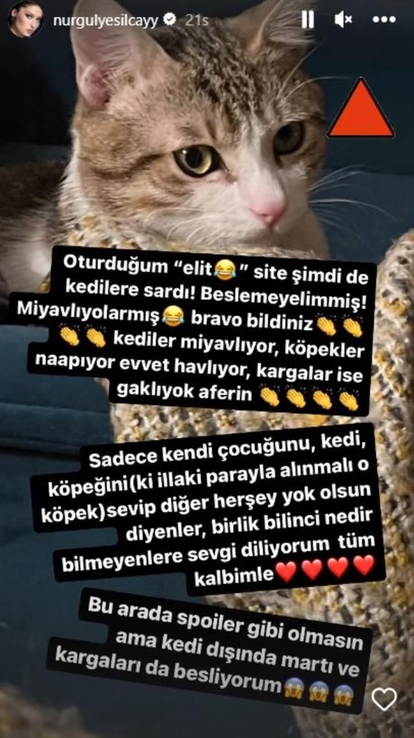 Nurgül Yeşilçay, kediler yüzünden komşularıyla papaz oldu - Resim: 2