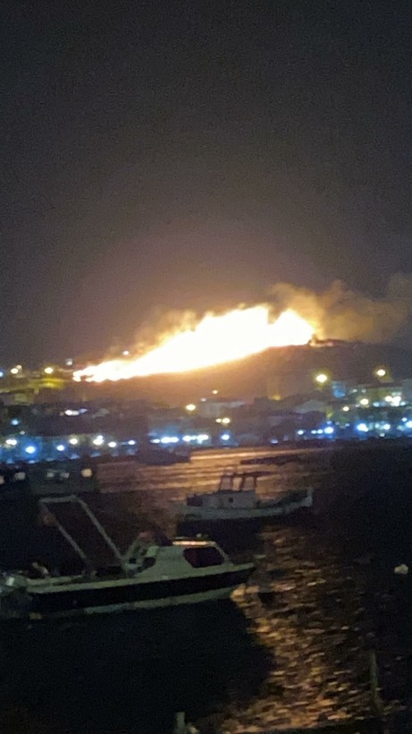 Ayvalık'taki yangın söndürüldü - Resim: 8