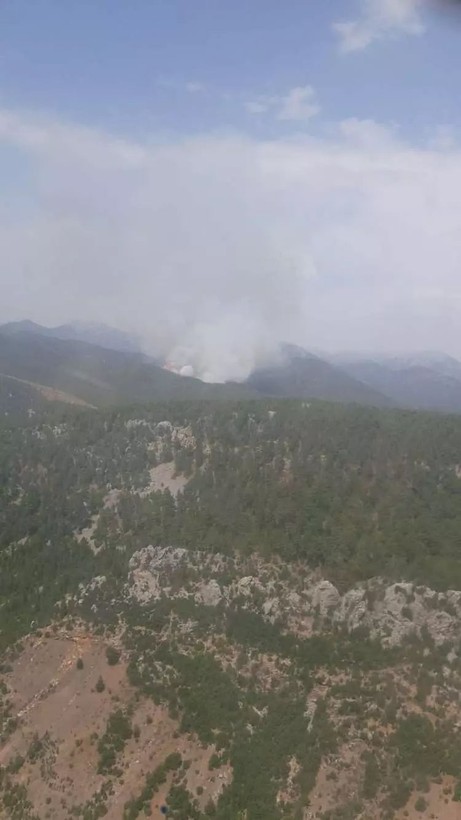Bolu, Antalya, Denizli, Ankara ve Eskişehir’de orman yangını - Resim: 6