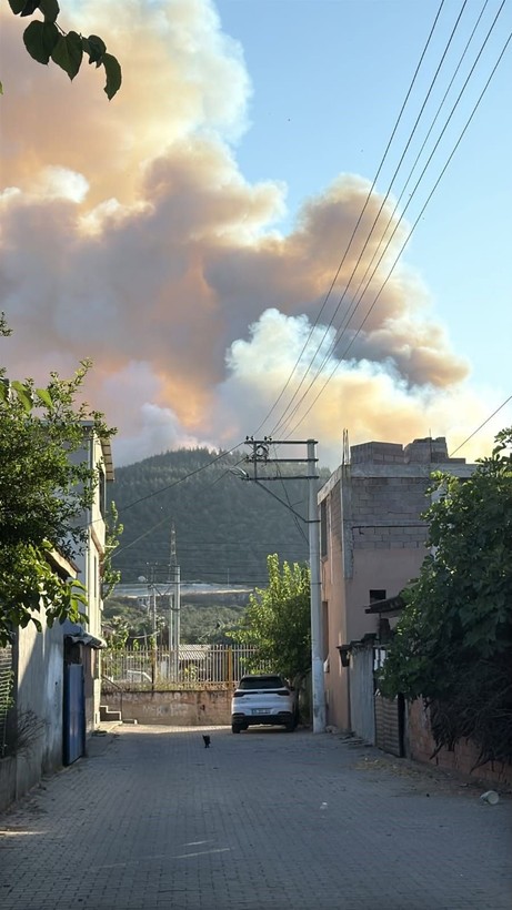 İzmir Aliağa'daki yangının bıraktığı hasar gün ağarınca ortaya çıktı! Bir kişi gözaltında - Resim: 3
