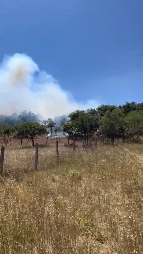 İstanbul Silivri'de orman yangını! 100 hektar zarar gördü - Resim: 1