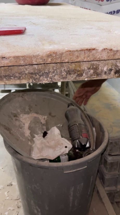 Fırın denetiminde mide bulandıran görüntüler: Zabıta böcek çeşitlerini saymakla bitiremedi - Resim: 4