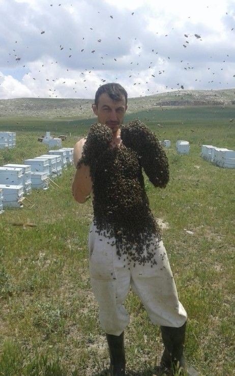 Bir garip hobi! Arıcının yaptıklarının gören şaşıp kalıyor - Resim: 8