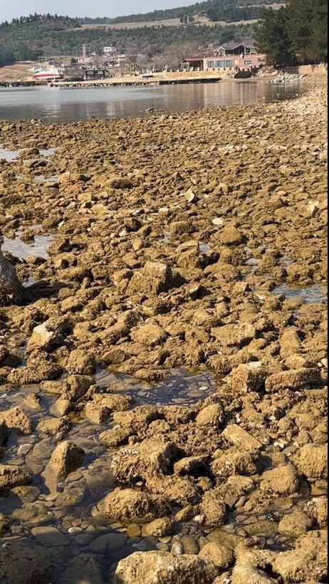 Kahramanmaraş depreminin ardından Ege Denizi'nde meydana gelen depremin ardından korkutan görüntü: Deniz suyu metrelerce çekildi - Resim: 5