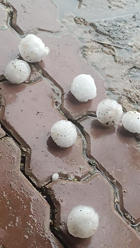 Şanlıurfa'da kar topu büyüklüğünde dolu yağdı: Ekili araziler ve araçlar zarar gördü - Resim: 5