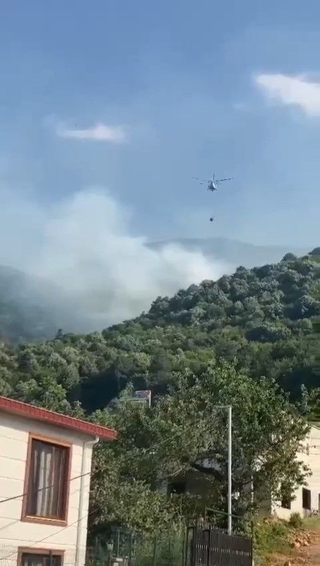 Bursa'nın Uludağ eteklerinde çıkan yangın kontrol altına alındı - Resim: 1