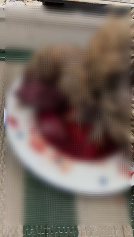 Bursa’da şaman ayini! Evinde keçi ve horoz kesti; gözaltına alındı - Resim: 2