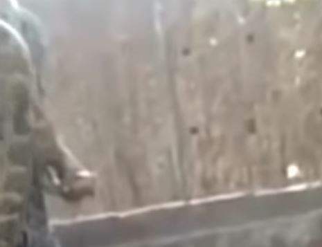 Piton herkesin gözü önünde boğdu! Gösteri zannediyorlardı ama gerçek çok farklı çıktı - Resim: 9