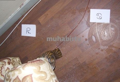 Münevver Karabulut'un Cem Garipoğlu tarafından vahşice katledildiği ev bakın şimdi ne halde! Ev sahibi 'Lanetli ev, satsan satılmıyor, atsan atılmıyor' demişti - Resim: 95