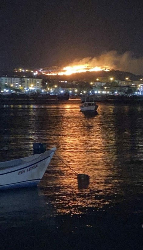Ayvalık'taki yangın söndürüldü - Resim: 12