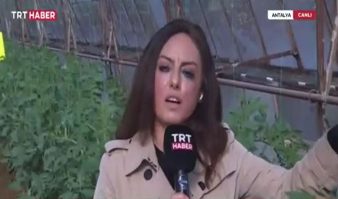 TRT muhabiri Özlem Pirim'in canlı yayındaki zorlu anları