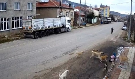 Konya'da korkunç olay! Sahipsiz köpeklerin saldırısına uğrayan kadın yaralandı