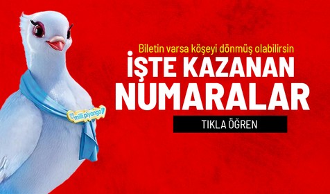 2023 Milli Piyango hızlı bilet sorgulama ekranı