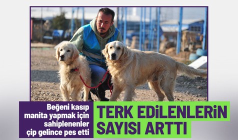 Çip zorunluluğu nedeniyle hayvanlarını sokaklara terk edenler arttı