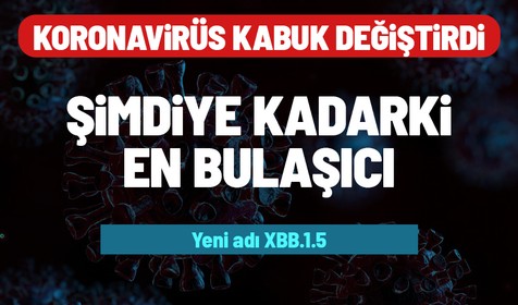 DSÖ'den XBB.1.5 açıklaması: Şimdiye kadarki en bulaşıcı varyant