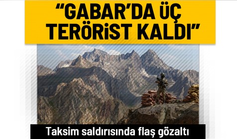 İçişleri Bakanı Soylu: Gabar'da 2'si gri kategoride olmak üzere 4 terörist etkisiz hale getirildi