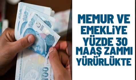 Memur ve emekli maaş zammı kanun teklifi, Resmi Gazete'de