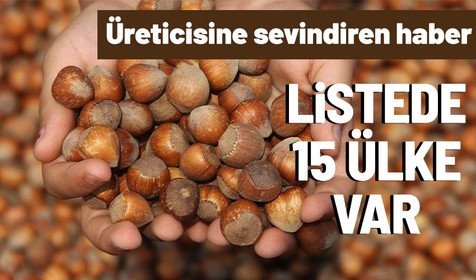 Türk fındığı yeni pazarlara açılacak! Listede 15 yeni ülke var